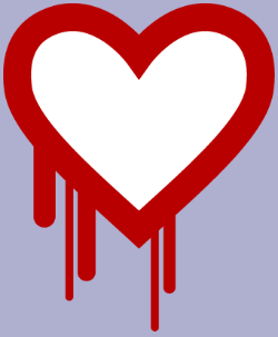A bleeding heart